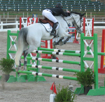 Germantown Charity Horse Show - East Memphis Moms